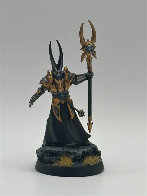 Warhammer Aos Slaves To Darkness Chaos Sorcerer Fully Painted Ebay