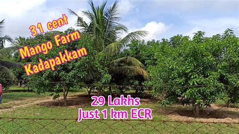 Id Lakh Farmland For Sale In Kadapakkam Edaikazhinadu Cent