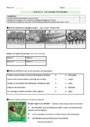 Paysages Ruraux Fran Ais Examen Evaluation Eme Primaire Pdf