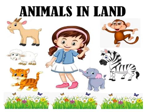 Animals in Land | PDF