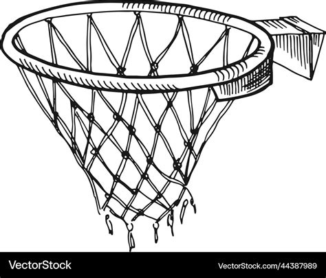 Basketball hoop sketch hand drawn sport basket Vector Image