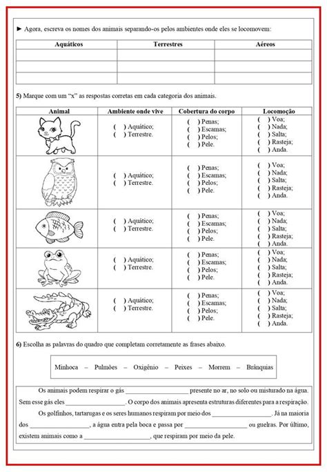 Prova De Ciencias 3 Ano - Avaliação de Ciências para o 3º Ano | Prova de ciencias 3 serie ...