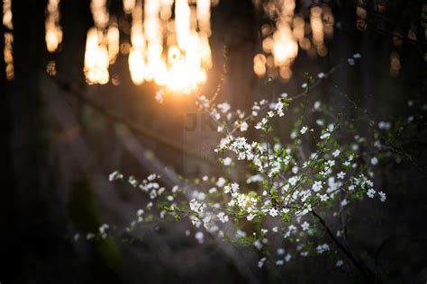 Julien Kam Photographe