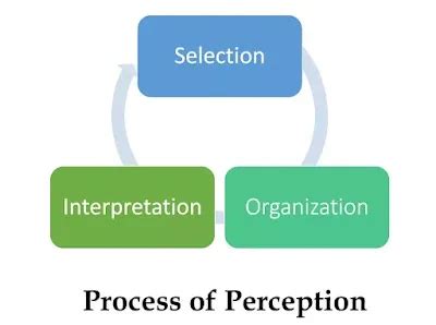 Process of Perception - Perception process includes selecting ...