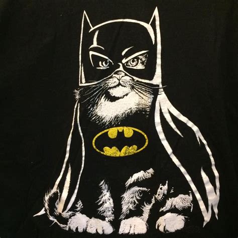 Pin By Julie Hallett On Art Batman Cat Batman Batman Cartoon