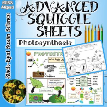 Photosynthesis Advanced Squiggle Sheets Notes Ngss Hs Ls Tpt