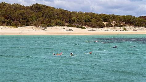 Great Keppel Island Tourists Delight In Snorkeling Adventure At The ...