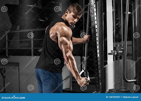 Muscular Man Working Out In Gym Doing Exercises At Triceps Strong Male