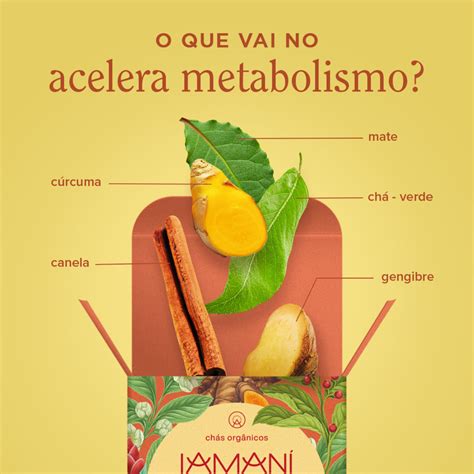 Chá Acelera O Metabolismo - Chá Orgânico Acelera Metabolismo - 15 sachês – Iamaní Chás Funcionais ...