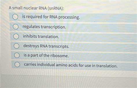 Solved A small nuclear RNA (snRNA):is required for RNA | Chegg.com