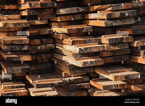 Wooden Planks Heap As Background Air Drying Timber Stack Wood