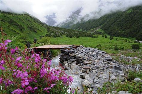 Spring in India - Climate, Nature, Best Destinations and More