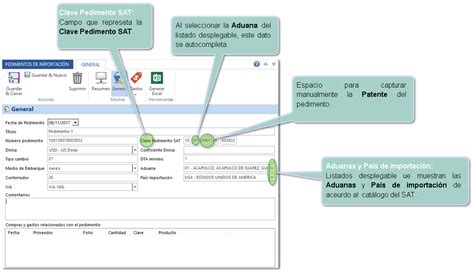 Estructura Del Pedimento