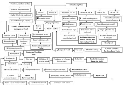 Pathway Stroke Infark Pdf