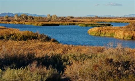 Exploring the Cibola National Wildlife Refuge