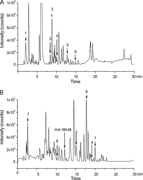 Typical Base Peak Chromatograms Of Urine From A Rplc And B Hilic Download Scientific