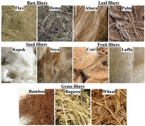 Natural Fibers