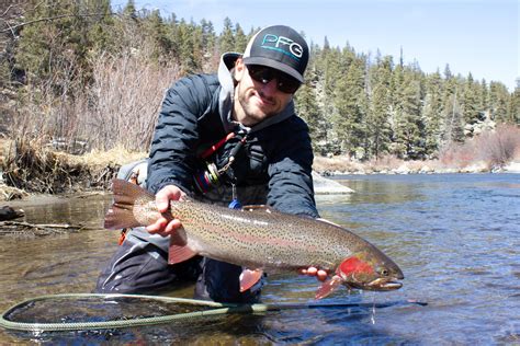 Eleven Mile Reservoir Fishing