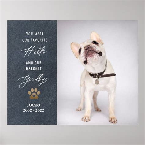 Personalized Pet Memorial Pet Loss Photo Collage Poster | Zazzle