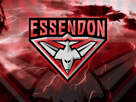 Essendon Football Club Wallpapers - Top Free Essendon Football Club Backgrounds - WallpaperAccess