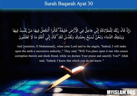 Understanding Surah Baqarah Ayat 30 230 My Islam