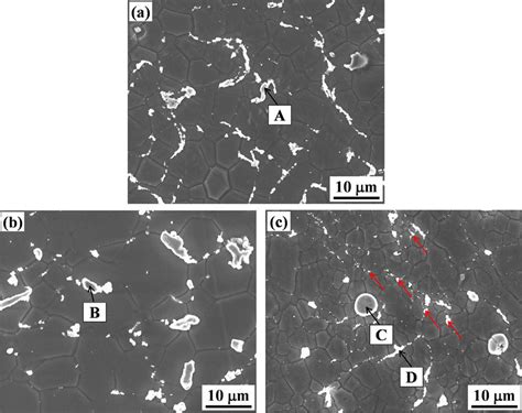 Typical Sem Microstructures Of Extruded Mg Alloys A Zx B Ze