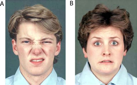 Examples Of The Facial Expressions Of Disgust And Fear A Disgust An