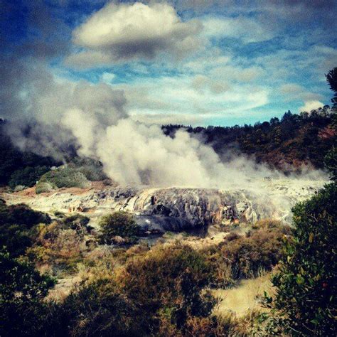 Traveler photo - Rotorua Geysers Visit us this Summer! http://malfroymotorlodge.co.nz/ - a one ...