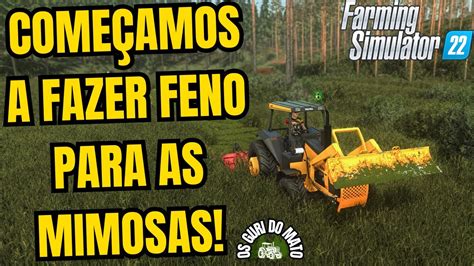 PRIMEIRA produção de FENO na FAZENDA as MIMOSAS vão ficar feliz Os