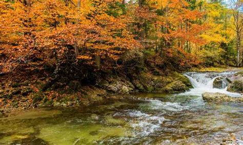 Un Viaggio Tra I Colori D Autunno Ecco L Imperdibile Esperienza