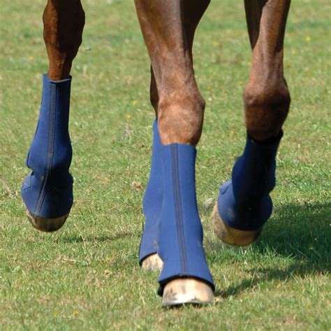 Equichaps Hardy Chaps Horse Boots Horse Boots And Leg Wraps Chaps