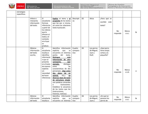 Matriz Comunicacion Pdf