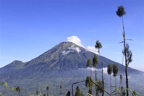 liputan trip pendakian gunung sindoro part