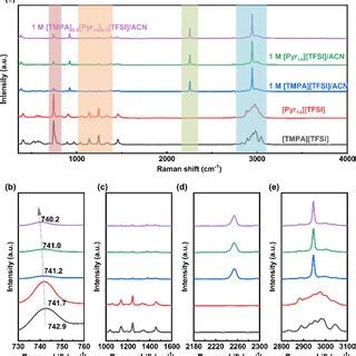 Raman Spectra Of Hybrid Electrolytes In Different Frequency Ranges A