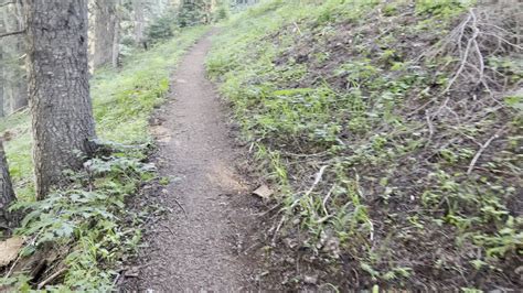 Leaving The Tree Line On Crescent Mountain Trail Willamette National