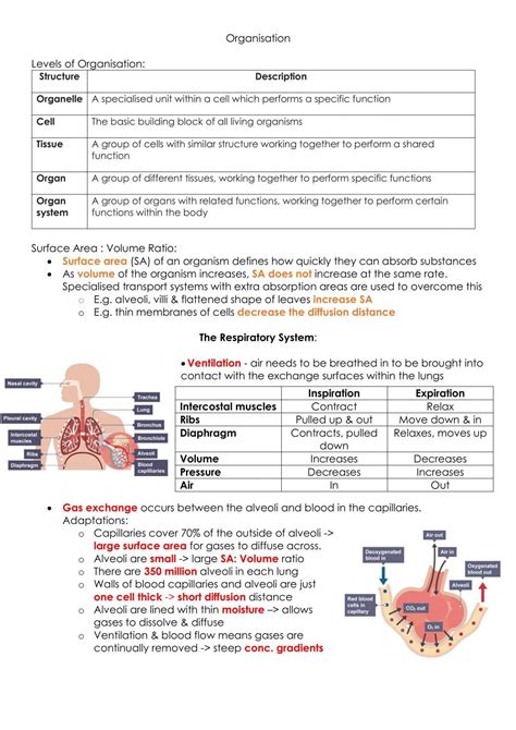 Gcse Biology Revision Notes Biology Higher Gcse Aqa Thinkswap