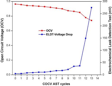 Open Circuit Cell Voltage OCV And Electrochemical Leak Detection Test