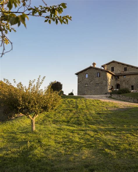 Gallery Tenuta Borgo Santa Cecilia