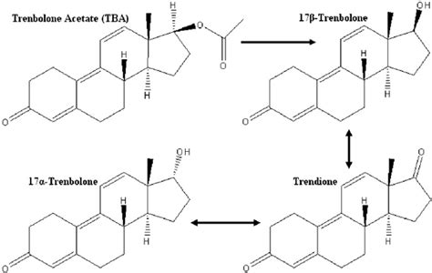 Trenbolone And Dbol Cycle Trenbolone Cycle Tren Cycle Guide