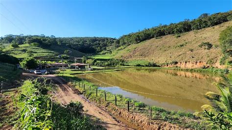 Vendo Fazenda Novo Horizonte Alqueires Em Te Filo Otoni Mg