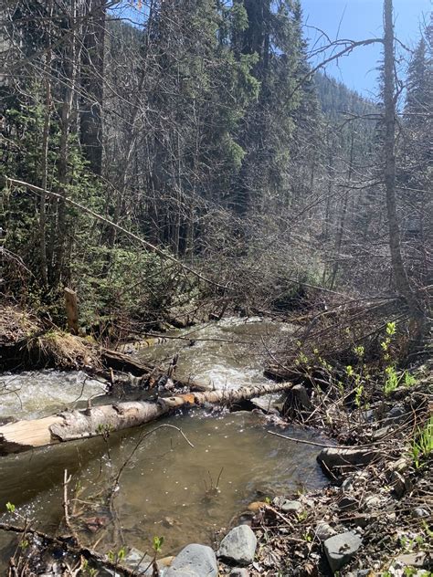 Sun Peaks residents should prepare for a dry summer by monitoring water