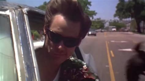 Ace ventura pet detective rent - matterloxa