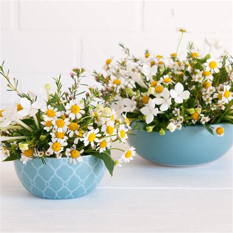 Flowers in a Kitchen Bowl - Rachel Hollis