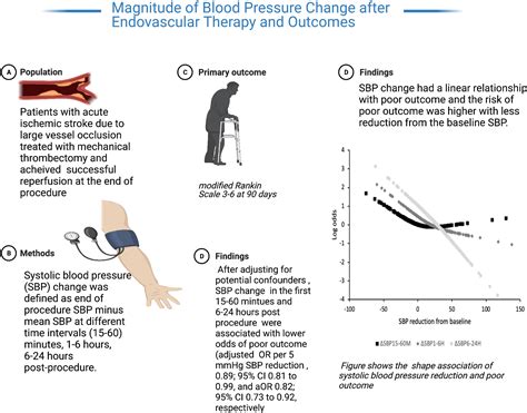 Magnitude Of Blood Pressure Change After Endovascular Therapy And