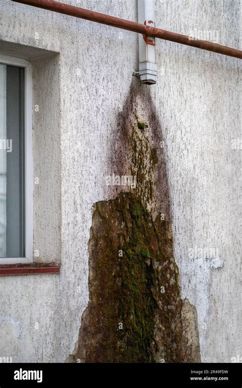 Mold On Walls Of Building Outside Humid Tropical Climate Damage Wall