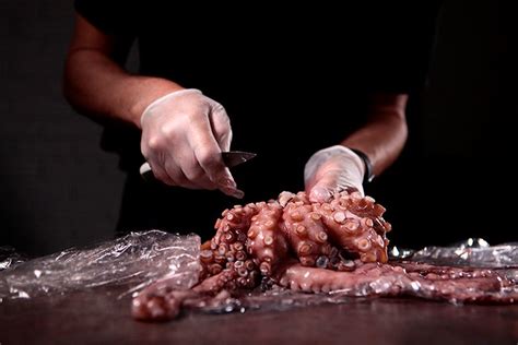 Cómo limpiar pulpo Trucos de cocina para hostelería Pescanova