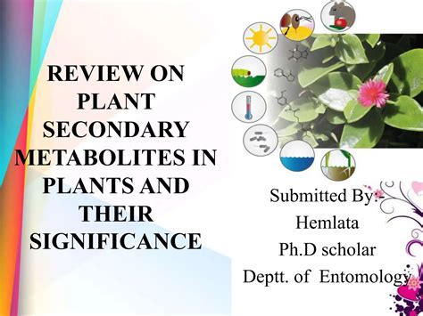 Plant Secondary Metabolites In Plants And Their Significance Ppt