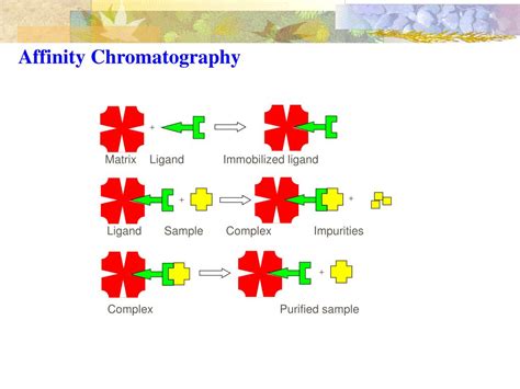 PPT CHAPTER 5a PRINCIPLES AND BASIC THEORY OF CHROMATOGRAPHY