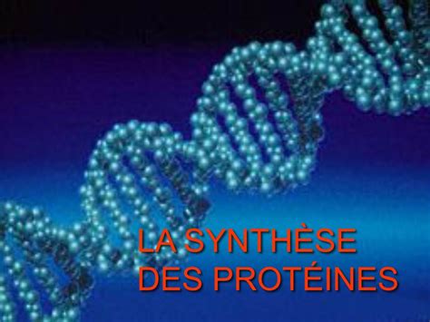 LA SYNTHÈSE DES PROTÉINES PDF ETUDE AZ