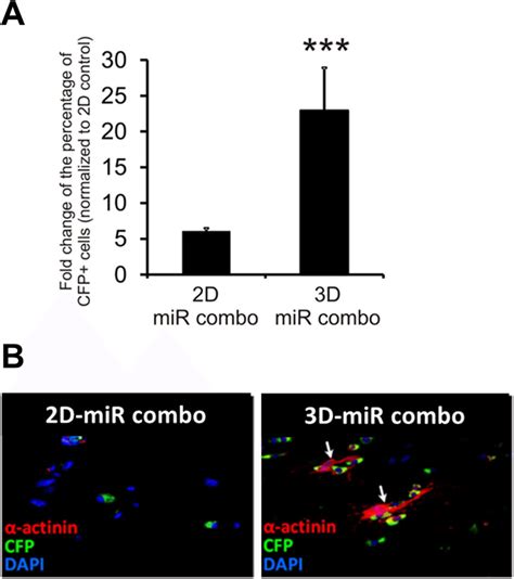 Mir Combo Mediated Induction Of αmhc Expression Is Enhanced By 3d Download Scientific Diagram